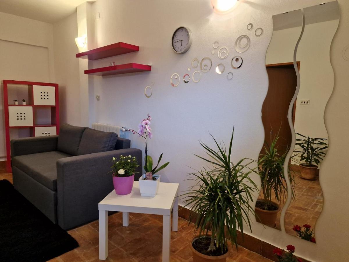 Apartman Sandro Motovun Eksteriør bilde