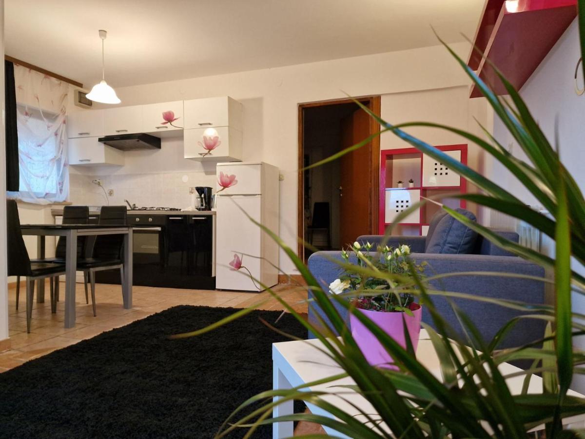 Apartman Sandro Motovun Eksteriør bilde